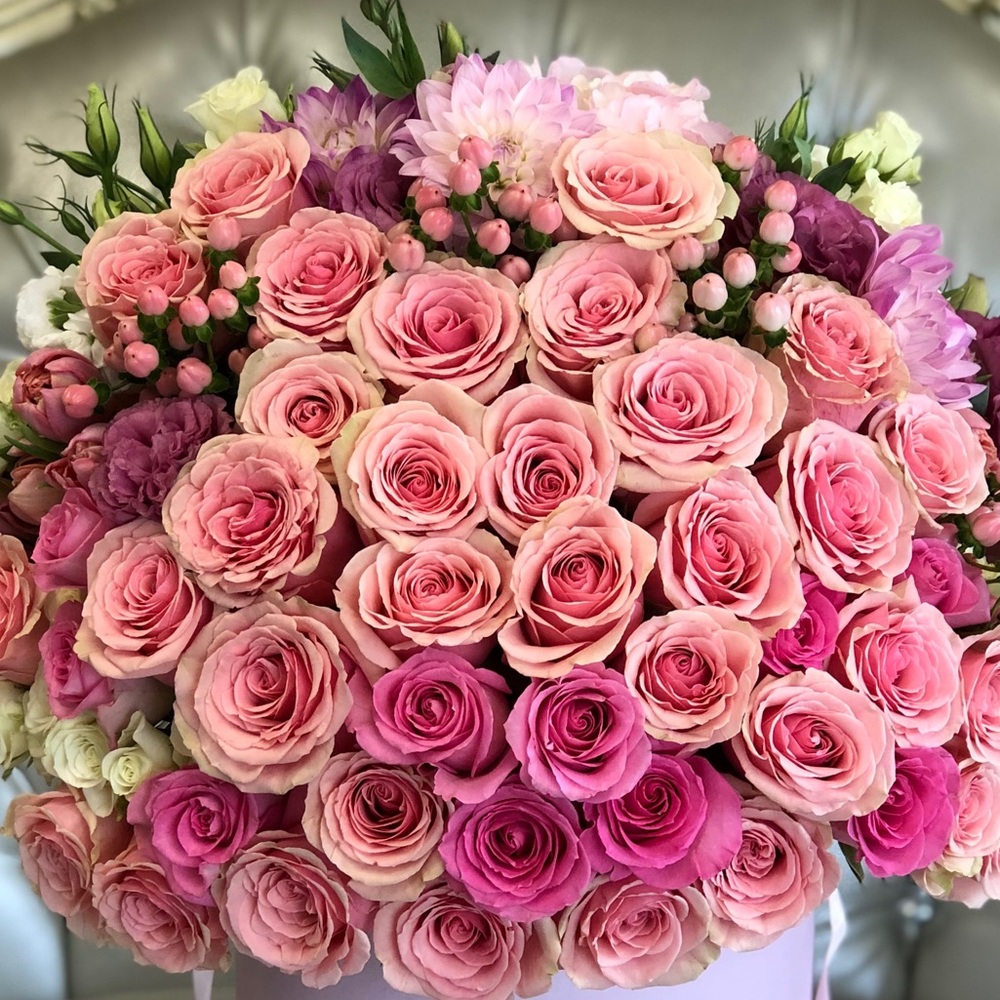 Meet your Posher, Geri